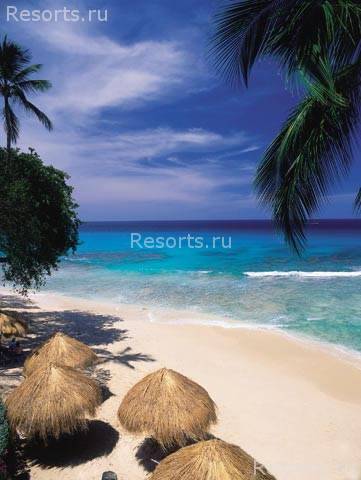 Tamarind Cove 14